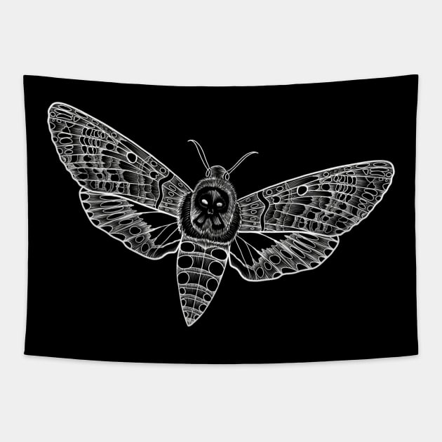 Death head moth sketch Tapestry by Raccoon.Trash