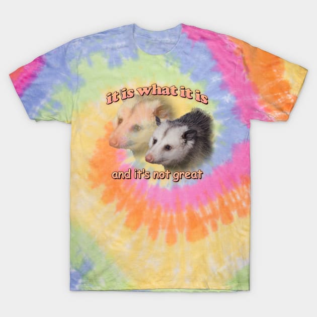 it is what it is... and it's not great possum meme