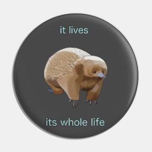 It Lives Its Whole Life Pin