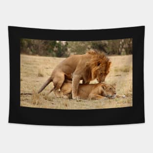 Apparent Tenderness. Lions Copulating, Maasai Mara, Kenya Tapestry