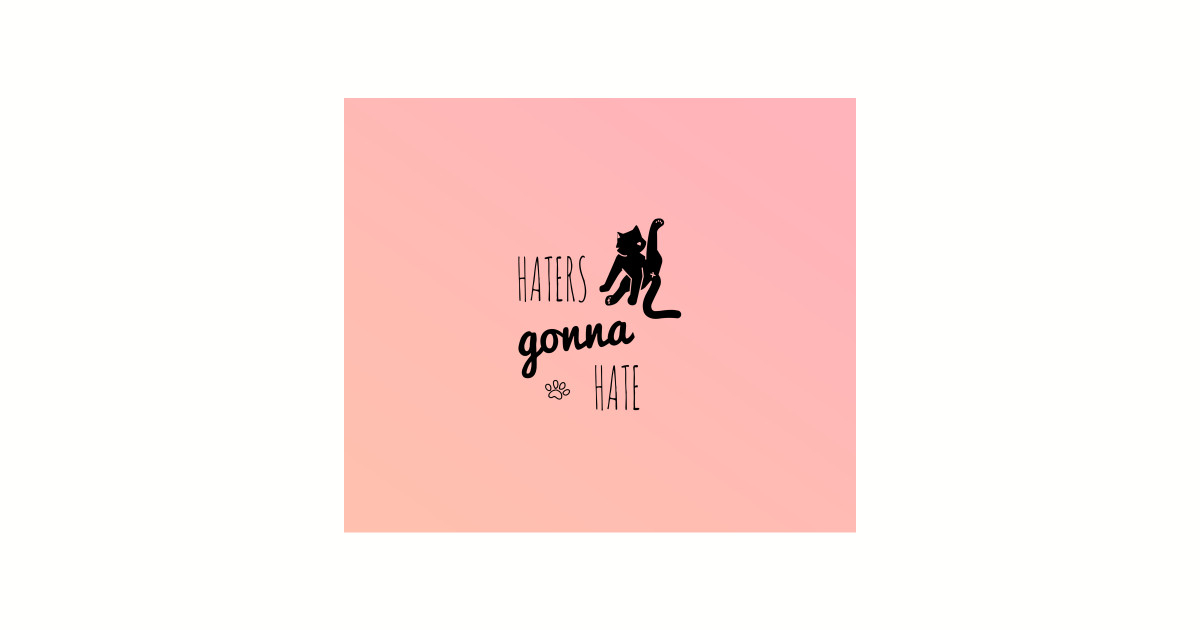 Haters Gonna Hate Cat Cat Designs Pillow Teepublic
