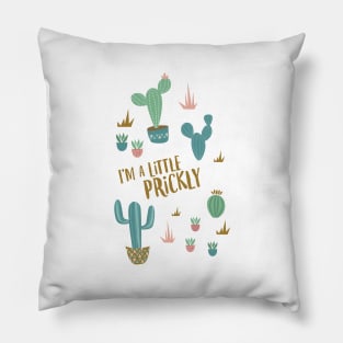 Prickly Cactus in Blush Pink Pillow