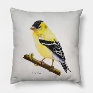 American Goldfinch Drawing Pillow