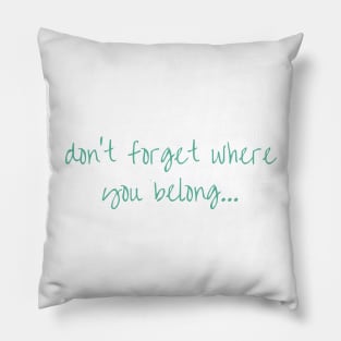 One Direction DFWYB Pillow