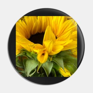 Sunflowers for Peace and Stability in Ukraine Pin