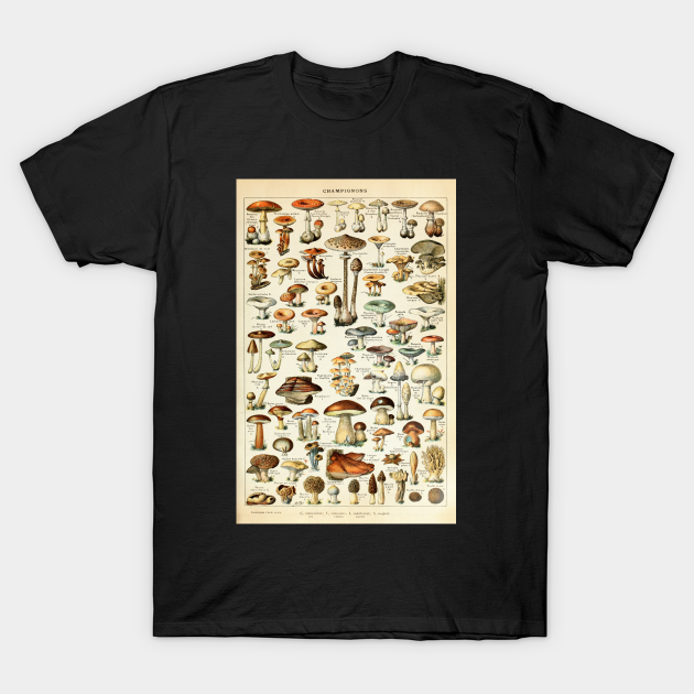 Champignon I Vintage French Mushroom Chart - Mushrooms - T-Shirt
