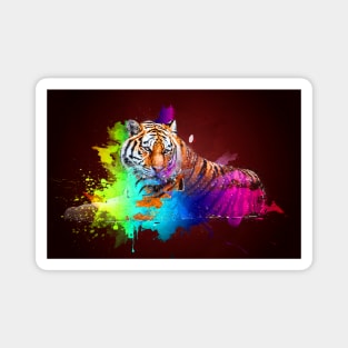 Colorburst tiger Magnet