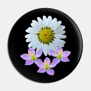 bunch of flower pink daisy daisies bloom Pin