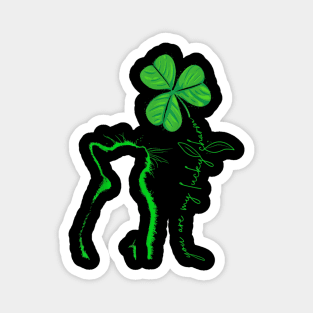 Cat St Patrick Day Your Are My Lucky Charm Magnet