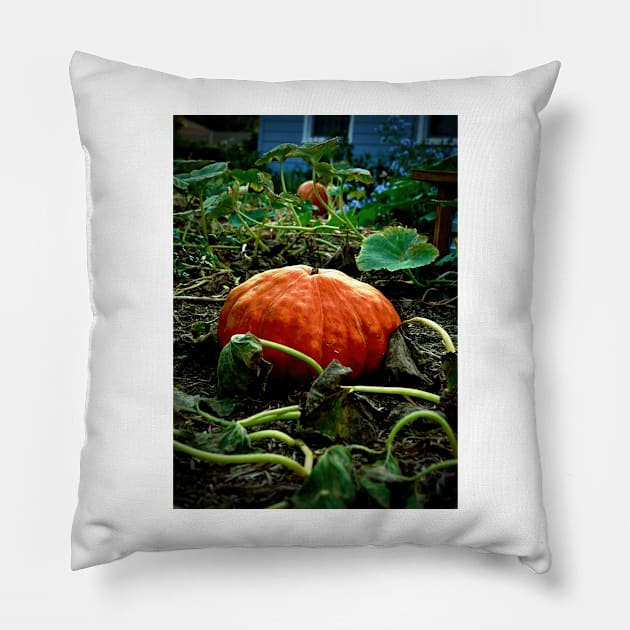 The Great Pumpkin Pillow by flavorstaking