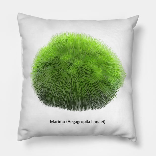 Aegagropila linnaei, known as Marimo or Moss Ball Pillow by Familyshmot