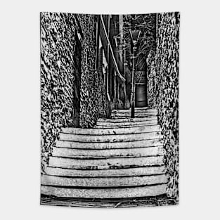 The christmas steps Tapestry