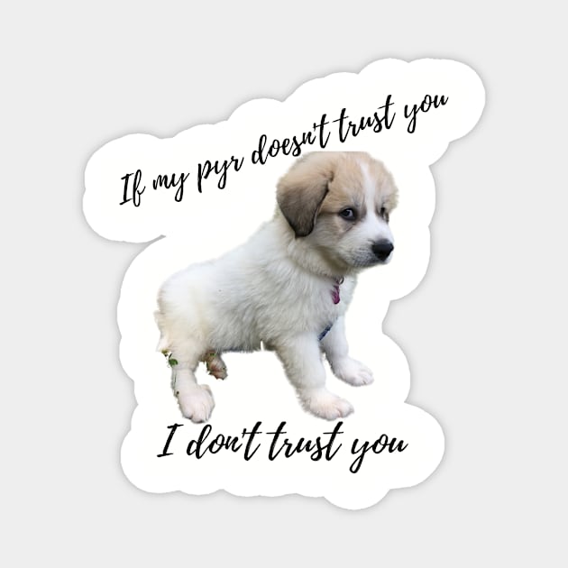 If my pyr doesn't trust you, I don't trust you Magnet by rford191