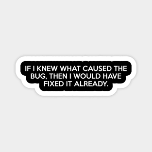 Bug Programmer Magnet