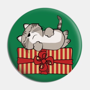 Cat on Gift Package Pin