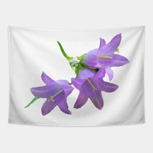 Purple Grey Nettle Leaved Bellflower Tapestry