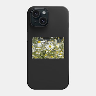 Mid Morning Mayweed Phone Case