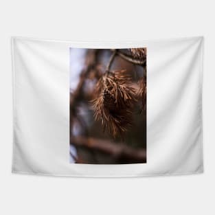 Pine Cone Tapestry