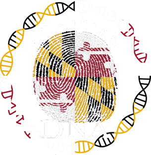 Maryland Its In My DNA - Marylander Flag - Gift for Marylander From Maryland Magnet