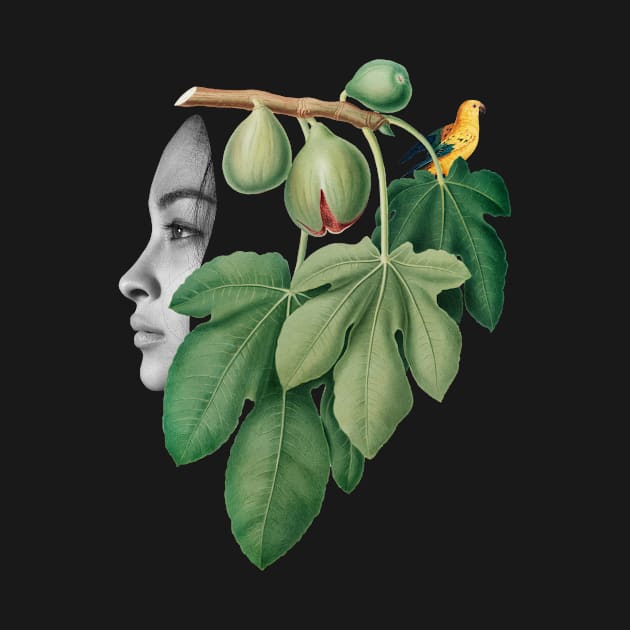 Surreal Collage Art with a girl, fig, bird and plants by EquilibriumArt