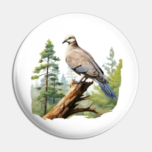 Collared Dove Pin