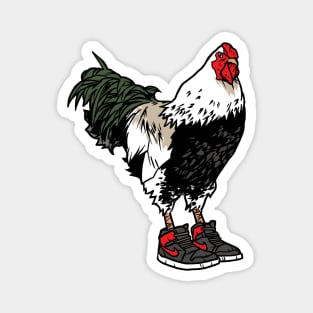 Chicken in Sneakers Magnet