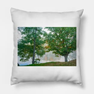 Two oak trees on edge in early morning fog j Pillow