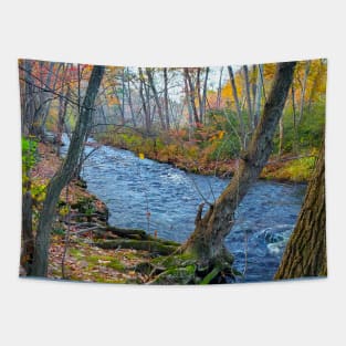 Magical River Tapestry