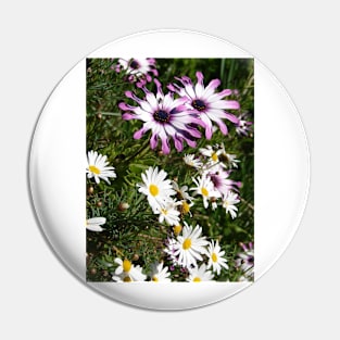 Daisy Flowers Pink and White Pin