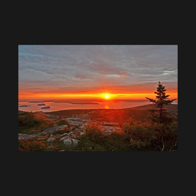 The sunrise from Cadillac Mountain in Acadia National Park by WayneOxfordPh