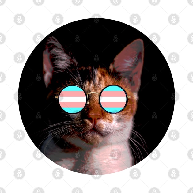 Cute Cat with Glasses Flag by Gedwolcraeft