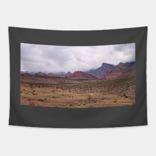 High Desert Rain Tapestry