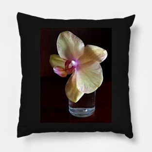 Lone Orchid Pillow