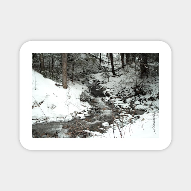 Winter Stream Magnet by srwdesign