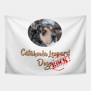 Catahoula Leopard Dogs Rock! Tapestry