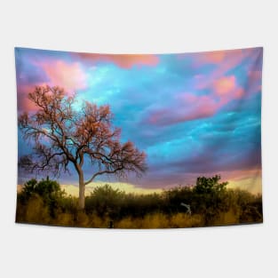The Painted Sky Tapestry