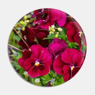 Purple pansies inspiring, beautiful flower Pin