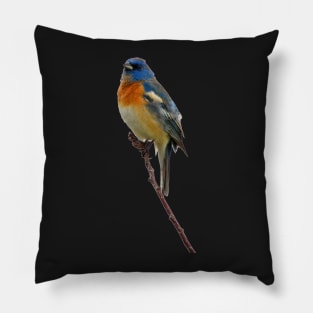 Lazuli Bunting Pillow