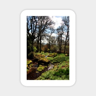 Batsford Arboretum Moreton In Marsh Cotswolds UK Magnet