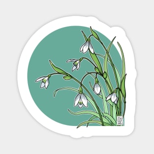 Snowdrop Magnet