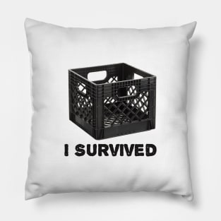 Milk Crate Challenge Pillow