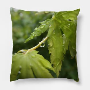 Raindrops on Leaves Pillow