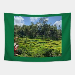 beauty of nature Tapestry