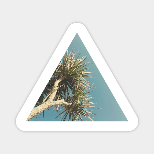 Spring Palm Magnet by Cassia