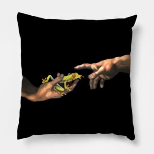 Creation of a Red Eye Frog Pillow