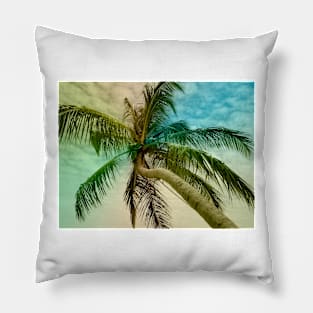 Close up Palm tree Pillow