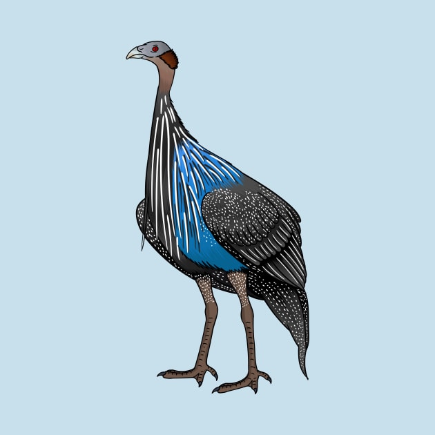 Vulturine guineafowl bird cartoon illustration by Cartoons of fun