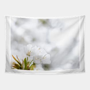 White cherry blossoms Tapestry