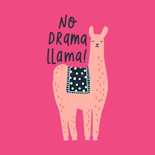 Cute Llama No Drama Llama Floral Llama Alpaca Lovers Gift T-Shirt T-Shirt