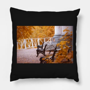 Autumn Pillow